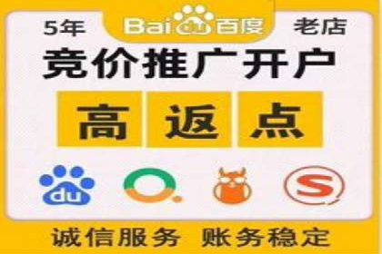 实战解析：百度竞价排名服务成功案例